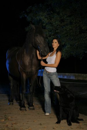 Babe, two dogs and a horse on the beach photo 5