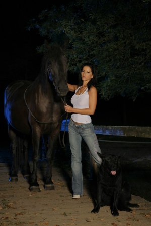 Babe, two dogs and a horse on the beach photo 15
