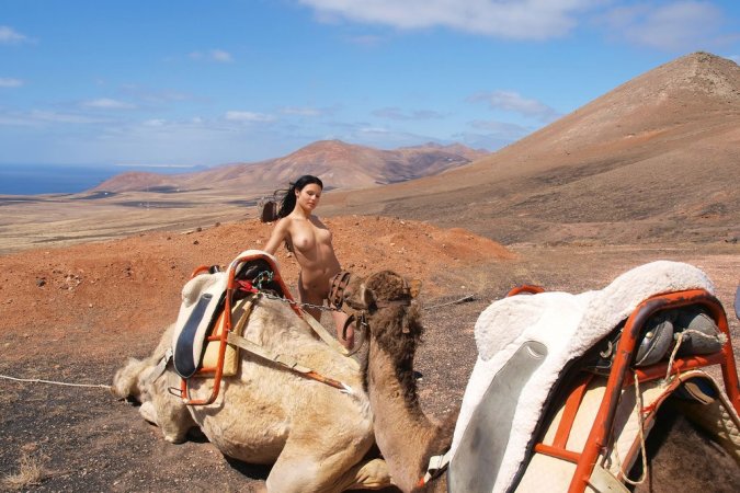 Lovely chicks are enjoying filthy fun with camels photo 3