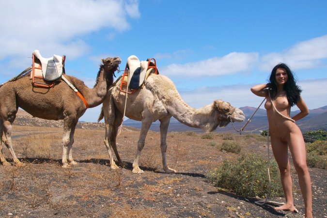 Lovely chicks are enjoying filthy fun with camels photo 4