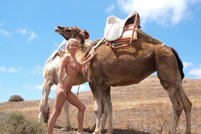 Lovely chicks are enjoying filthy fun with camels photo 8