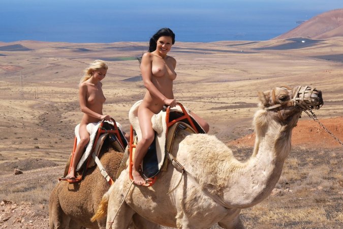 Lovely chicks are enjoying filthy fun with camels photo 10