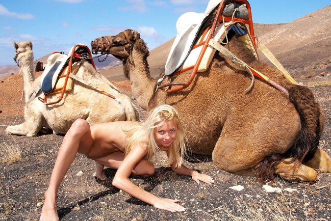 Lovely chicks are enjoying filthy fun with camels photo 17