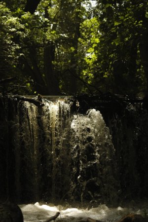 Totally naked blondie swims in the waterfall photo 17