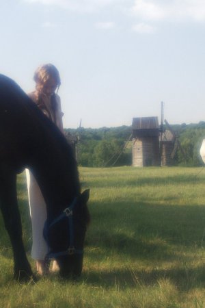 Sexy babe is walking with the horse photo 4