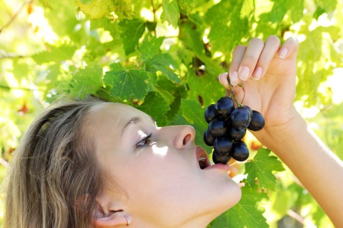 Naked hottie eats grapes in the garden photo 17