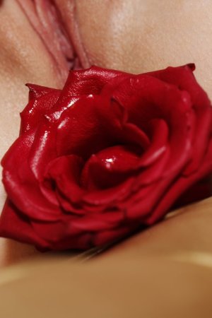 Blonde is having passionate solo with red roses photo 20