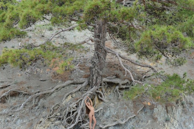 Babe with trimmed pussy is having solo photo 12