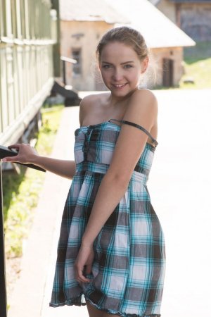 Hot brunette shows pussy on an everyday walk photo 3